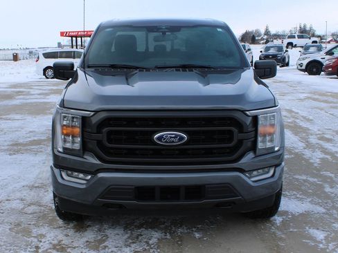 Used 2023 Ford F150 XLT w/ Equipment Group 302A High image 2