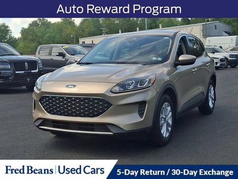 Used 2020 Ford Escape SE AWD/4WD image 5