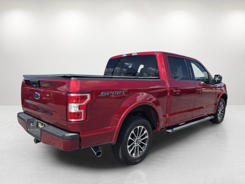 Used 2019 Ford F150 XLT w/ Equipment Group 302A Luxury RWD image 5