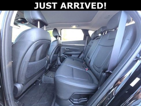 Used 2024 Hyundai Tucson Limited image 10