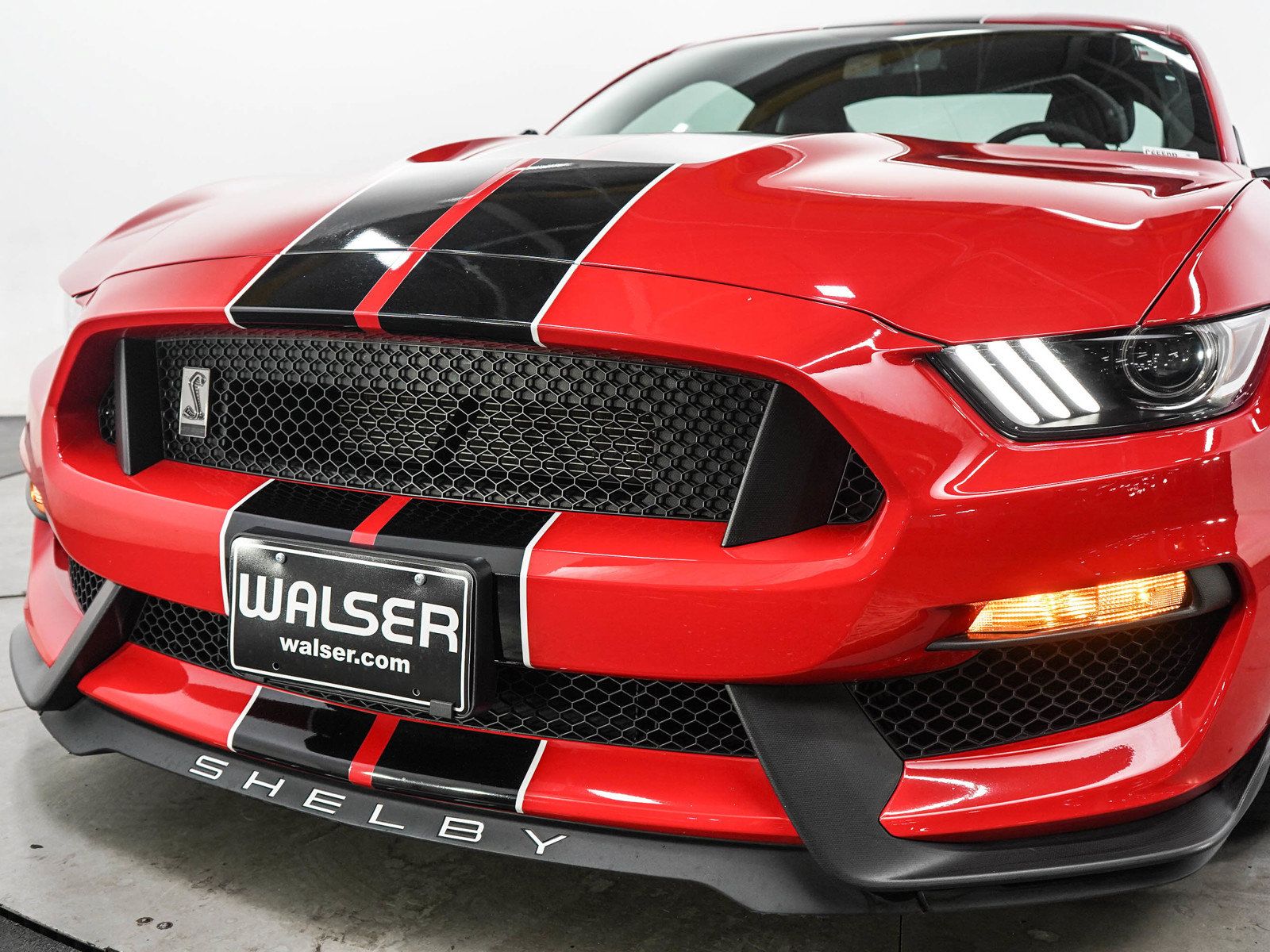 Used 2017 Ford Mustang Shelby GT350 w/ Convenience Package RWD image 9