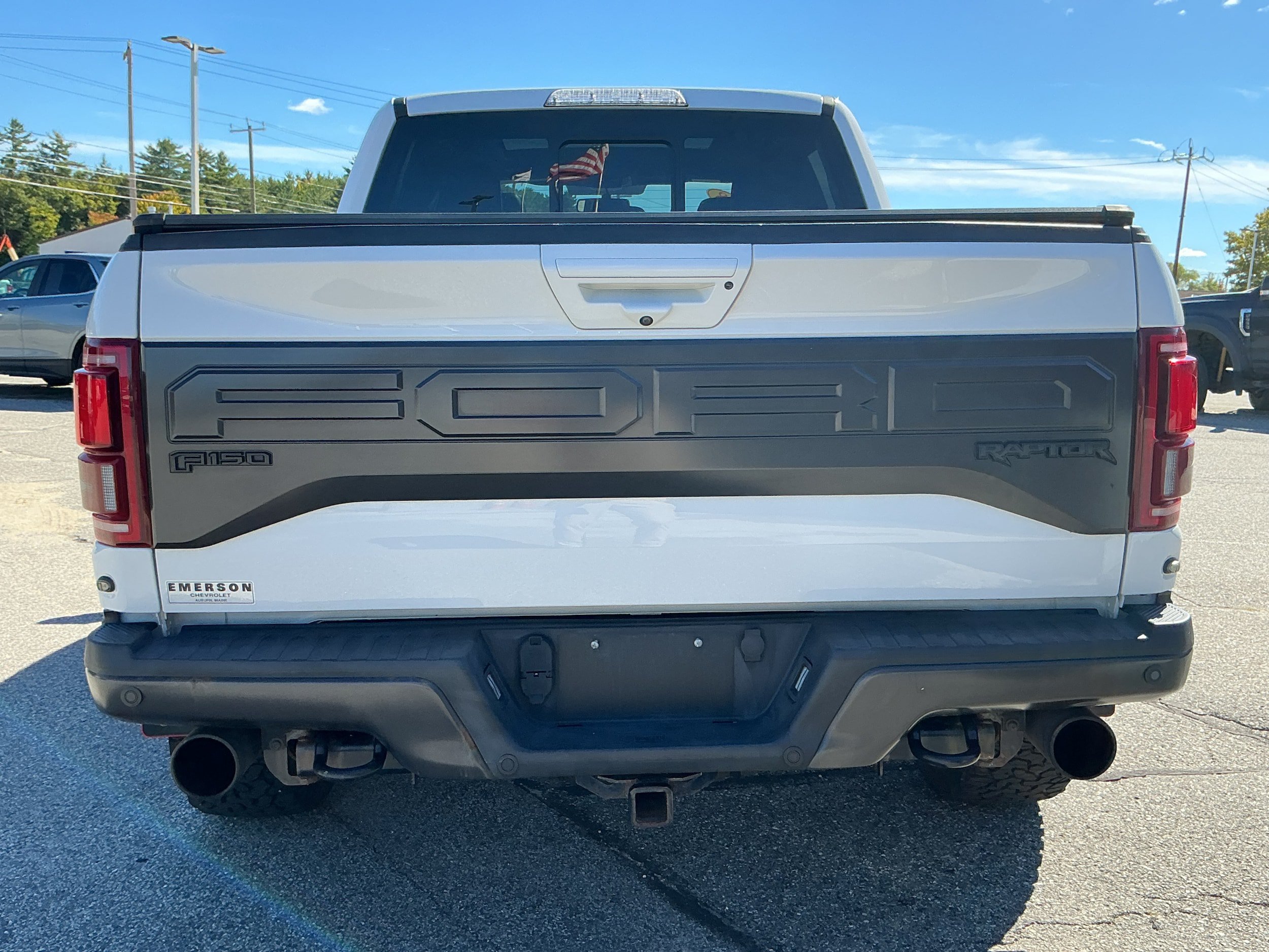 Used 2018 Ford F150 Raptor w/ Equipment Group 802A Luxury AWD/4WD image 6