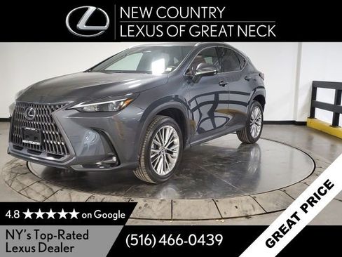 Used 2025 Lexus NX 350h AWD w/ Premium Package image 4