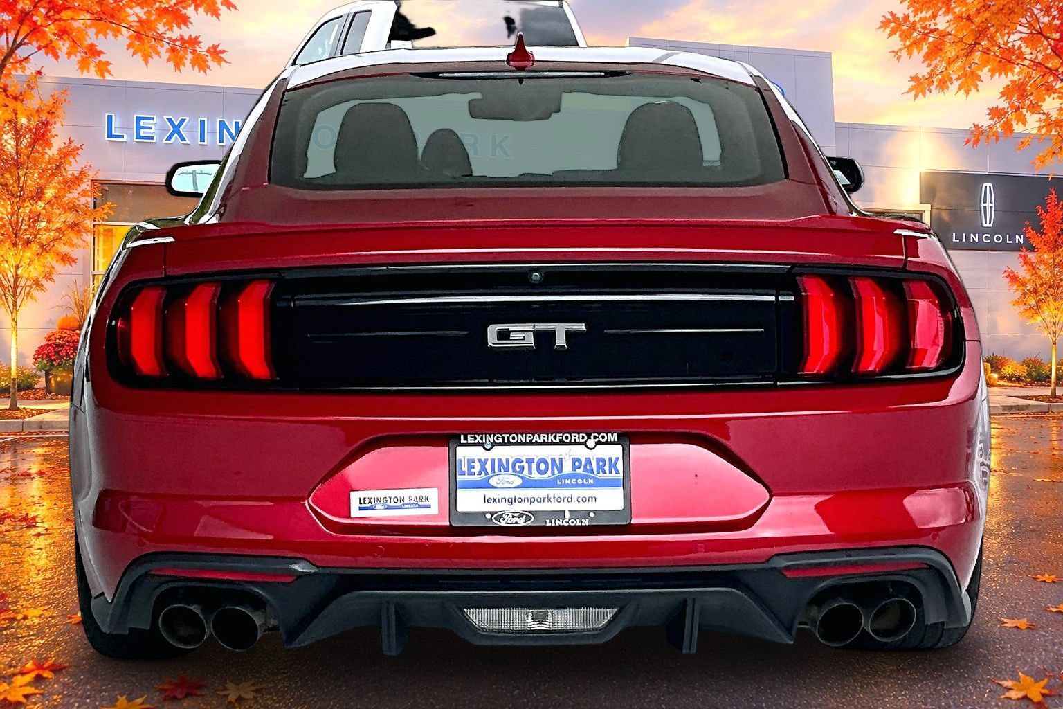 Used 2021 Ford Mustang GT Premium w/ Equipment Group 401A RWD image 6