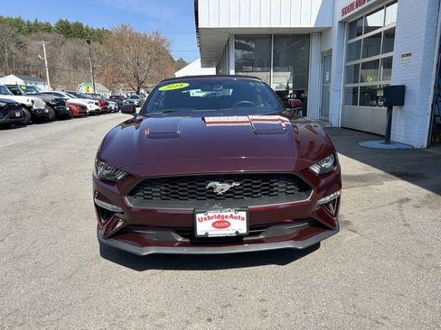 Used 2018 Ford Mustang Convertible w/ Ecoboost Performance Package image 7