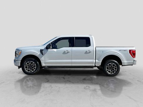 Used 2021 Ford F150 XLT w/ Equipment Group 302A High AWD/4WD image 3
