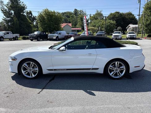 Used 2019 Ford Mustang Premium w/ Equipment Group 201A RWD image 9