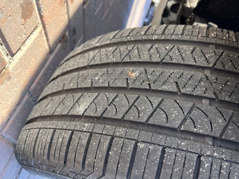 Certified 2025 BMW X7 xDrive40i image 12