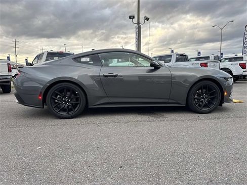 New 2026 Ford Mustang Coupe w/ Mustang Nite Pony Package image 4