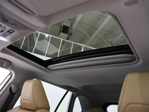 Certified 2025 Toyota RAV4 XLE Premium image 25