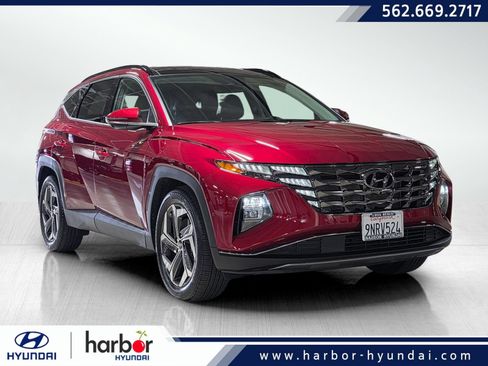 Used 2024 Hyundai Tucson Limited FWD image 1