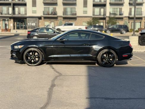Used 2015 Ford Mustang Premium w/ Ecoboost Performance Package RWD image 4