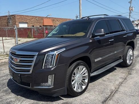 Used 2015 Cadillac Escalade Platinum AWD/4WD image 1