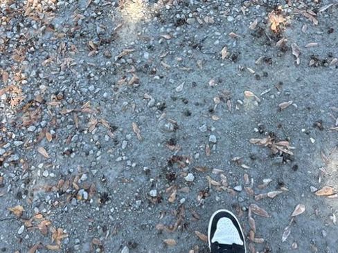 Used 2005 Ford Ranger 2WD Regular Cab image 5