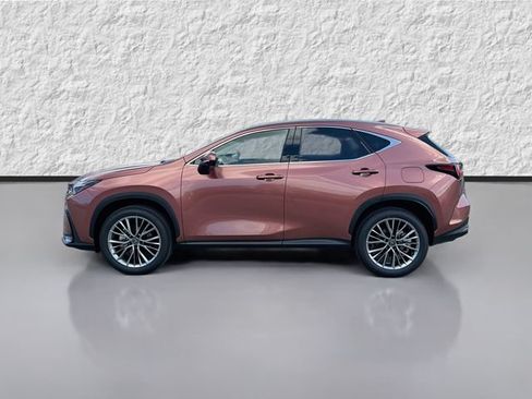 New 2026 Lexus NX 350 AWD w/ Cold Area Package image 6