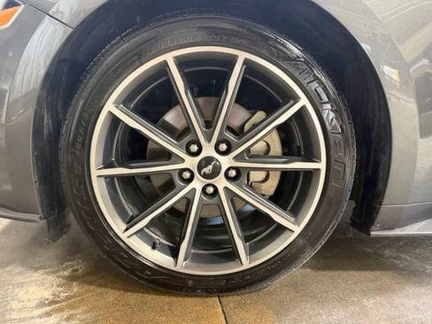 Used 2019 Ford Mustang Premium w/ Equipment Group 201A RWD image 26
