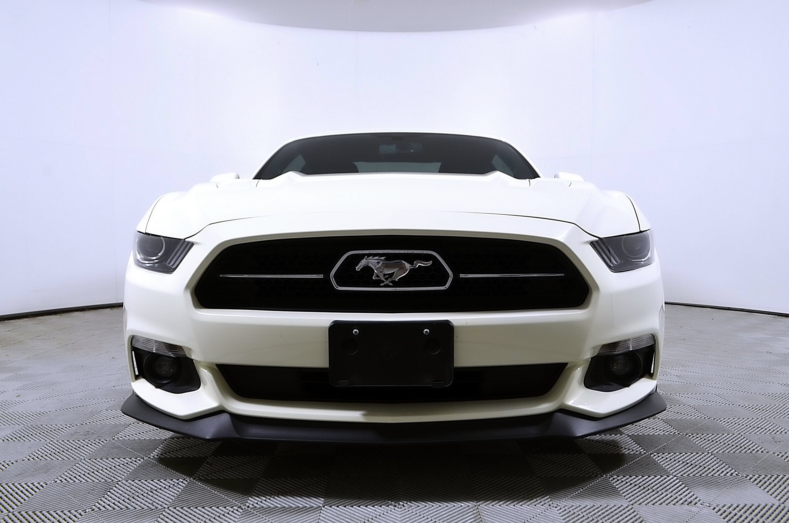 Used 2015 Ford Mustang 50 Years RWD image 5