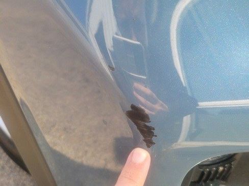 Used 2025 Ford Explorer Active w/ Active Comfort Package image 14