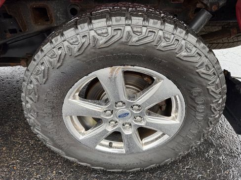 Used 2019 Ford F150 XLT w/ Equipment Group 302A Luxury AWD/4WD image 6