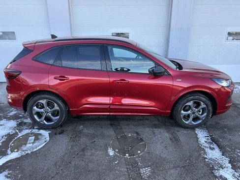 Used 2024 Ford Escape ST-Line image 6