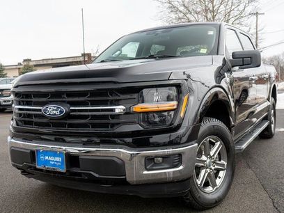 Used 2025 Ford F150 XLT w/ Equipment Group 301A Standard