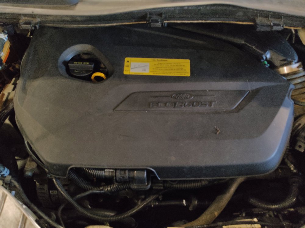 Used 2014 Ford Escape SE FWD image 30