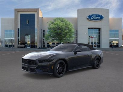 New 2025 Ford Mustang Premium w/ Mustang Nite Pony Package