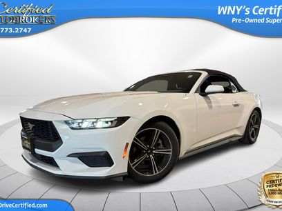 Used 2024 Ford Mustang Premium