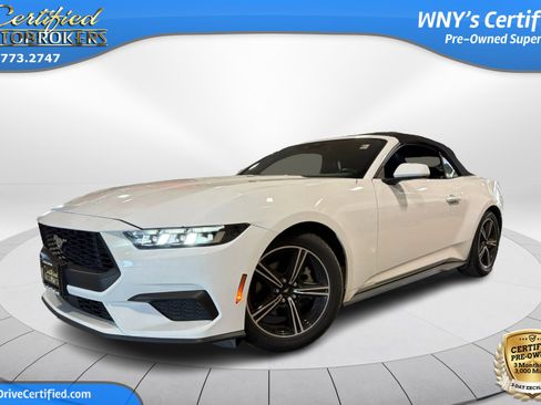 Used 2024 Ford Mustang Premium RWD image 1