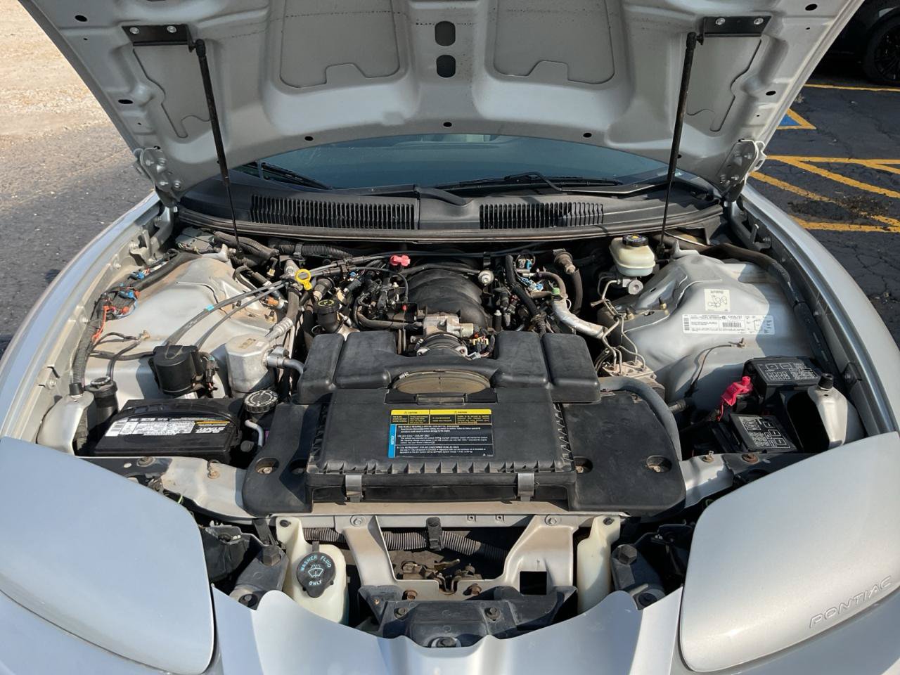 Used 2002 Pontiac Firebird Trans Am RWD image 9