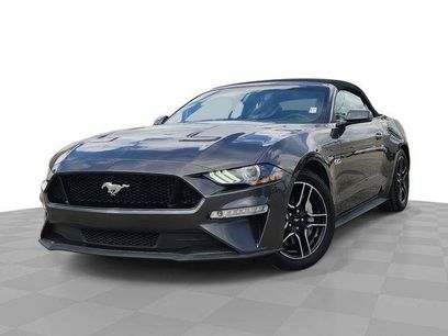Used 2019 Ford Mustang GT Premium w/ Equipment Group 401A