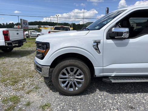 Used 2025 Ford F150 XLT w/ Equipment Group 302A MID AWD/4WD image 9
