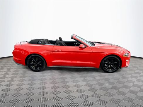 Used 2019 Ford Mustang Convertible image 5