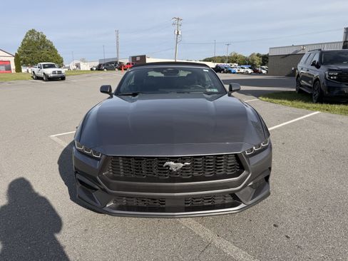 Certified 2025 Ford Mustang Premium RWD image 2