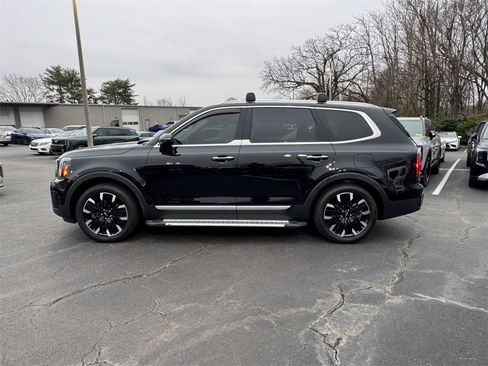 Certified 2024 Kia Telluride SX w/ Towing Package image 6