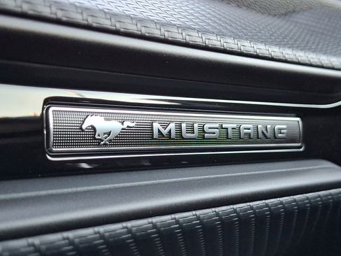 New 2025 Ford Mustang Coupe image 18