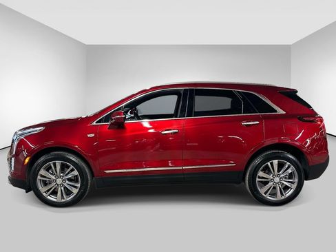 Used 2024 Cadillac XT5 Premium Luxury AWD/4WD image 2