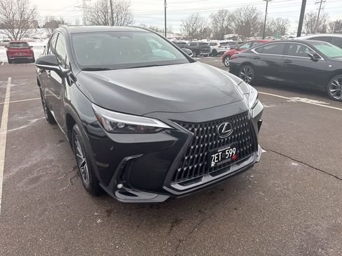 Used 2025 Lexus NX 350 AWD image 13