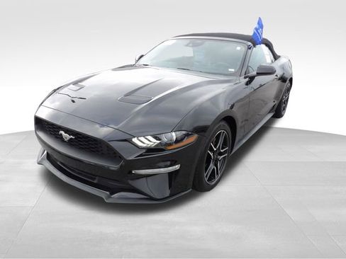 Certified 2023 Ford Mustang Premium image 3
