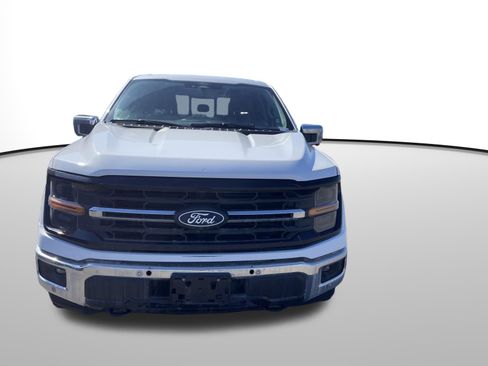 Used 2024 Ford F150 XLT w/ Equipment Group 302A MID image 3