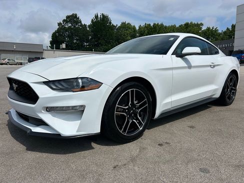 Used 2023 Ford Mustang Premium image 11
