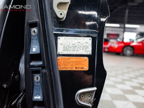 Used 1986 Alfa Romeo Spider Veloce image 65