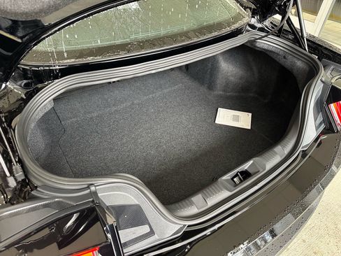 New 2026 Ford Mustang Coupe w/ Mustang Nite Pony Package image 12