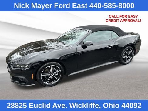 Used 2025 Ford Mustang Premium image 2