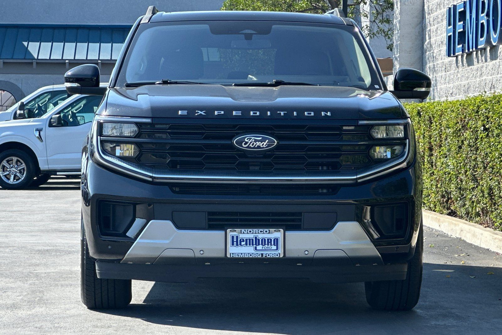 Used 2025 Ford Expedition Max Platinum AWD/4WD image 9