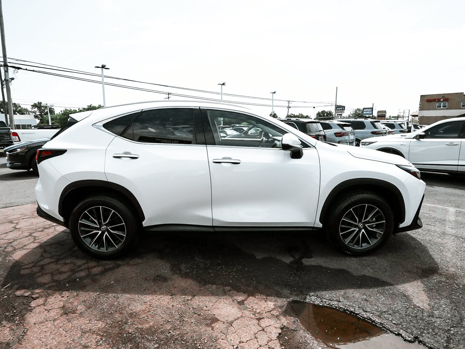Used 2024 Lexus NX 350 AWD w/ Cold Area Package image 7