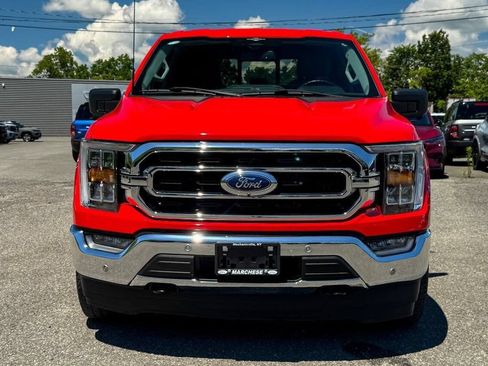 Used 2023 Ford F150 XLT w/ Equipment Group 302A High AWD/4WD image 8