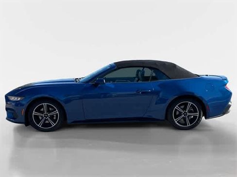 Used 2024 Ford Mustang Premium image 7