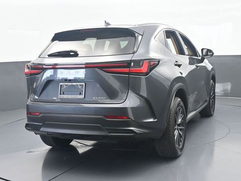 Used 2024 Lexus NX 250 FWD w/ Cold Area Package image 5