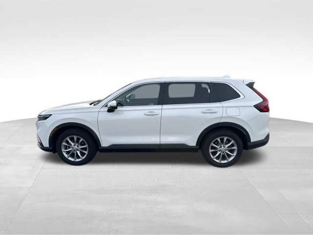 Used 2024 Honda CR-V EX-L image 5